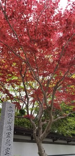 20180503_133501.jpg