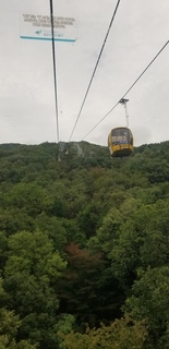 20180929_102204.jpg