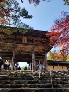 20181111_115602.jpg
