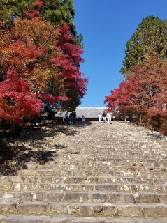 20181111_120404.jpg
