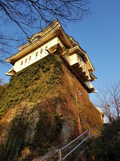 20190107_163202.jpg
