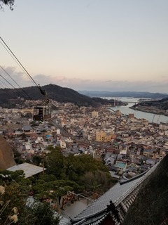 20190107_170155.jpg