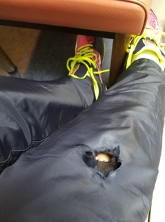 20190306_120757.jpg
