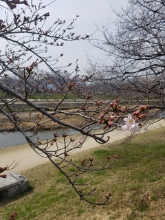 20190327_134550.jpg