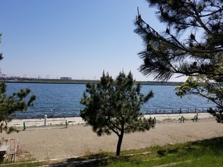20190504_142916.jpg