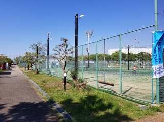 20190504_142934.jpg