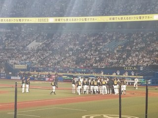 20190606_204036.jpg
