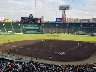 20190726_170038.jpg