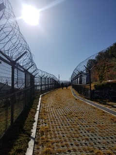 20191101_110155.jpg